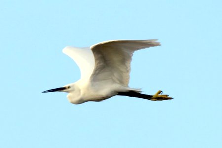 1 img 0874
