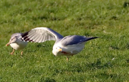 1 img 7521jpg