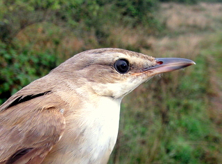 DSCF1757
