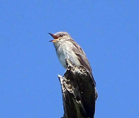 DSC08800aa