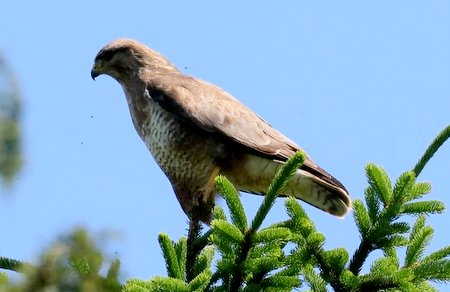 IMG 7670