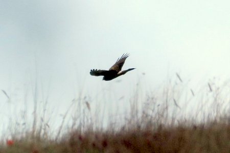 IMG 7772