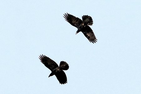 IMG 8941