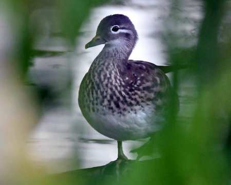image045ej567