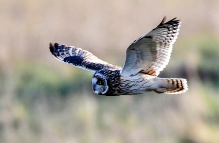 image0898778
