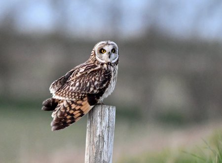 image098766