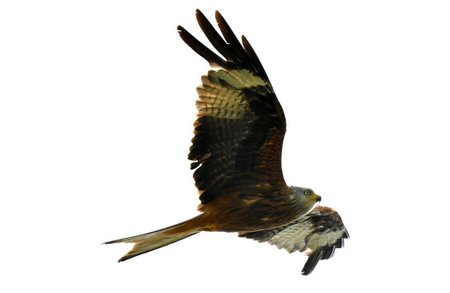 image0hrtjywj