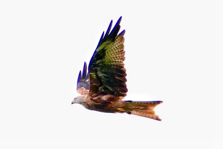 image1hh4hhaeth