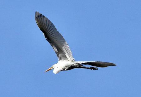 image5tt