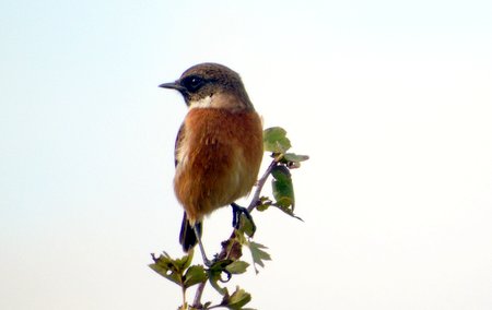 DSC00175 001