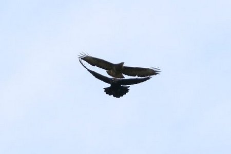 IMG 3607