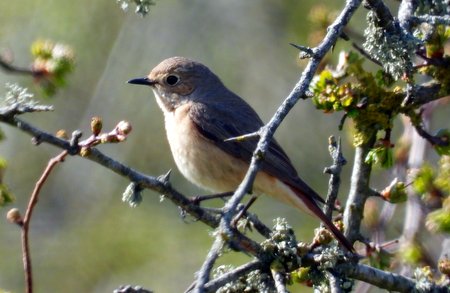 image036yee
