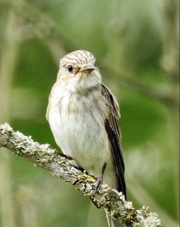 image045y43
