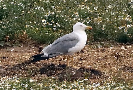1 IMG 0814