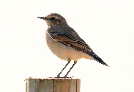 1 IMG 1973 001