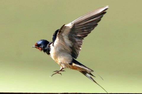 1 IMG 5555