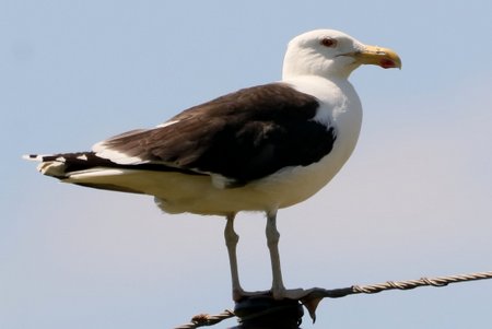 1 IMG 9719