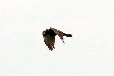 1 img 0148jpg