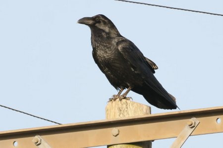 1 img 0754