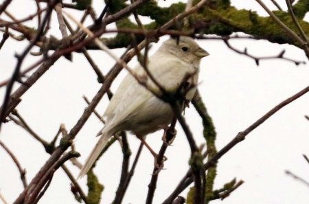 1 img 5637