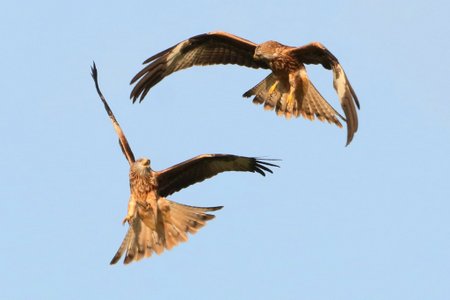 1 img 6403jpg