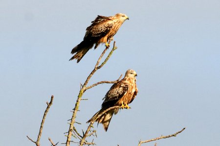 1 img 8058