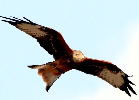 1 img 8376