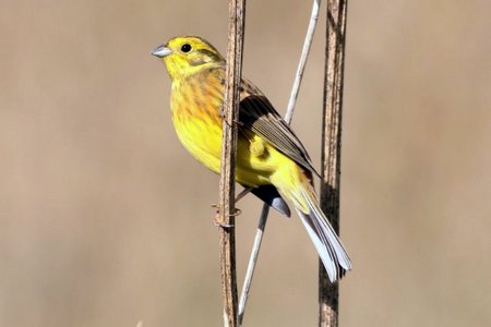 1 img 8439