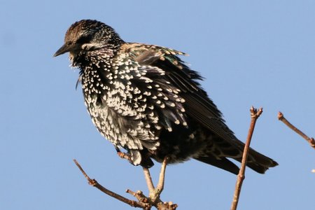 1 img 8475