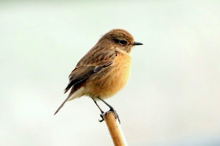 1 img 9821