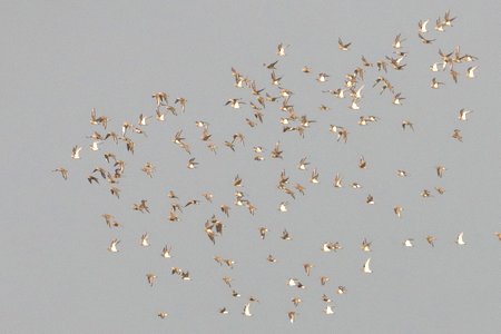 1 img 8274jpg