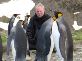 penguins